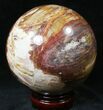Colorful Petrified Wood Sphere #20602-1